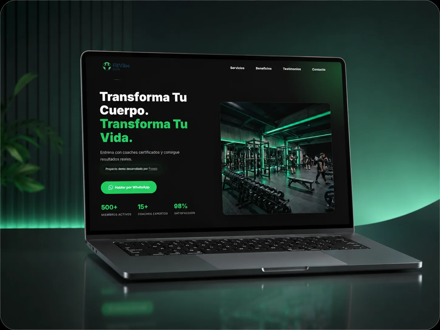 Vista previa de FitVibe Gym